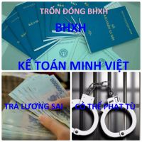 PHẠT NẶNG ĐỐI VỚI VIỆC TRỐN ĐÓNG BHXH VÀ TRẢ LƯƠNG SAI QUY ĐỊNH